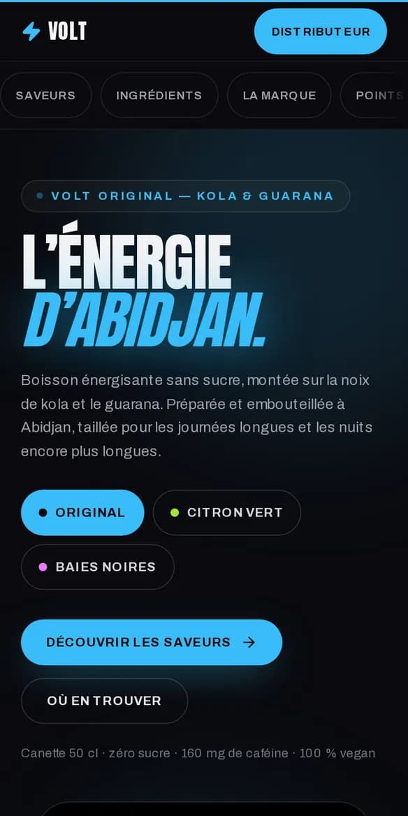 Aperçu du site VOLT Energy